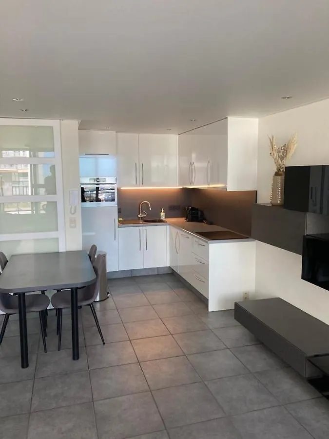 Studio Ascot Oostende Daire